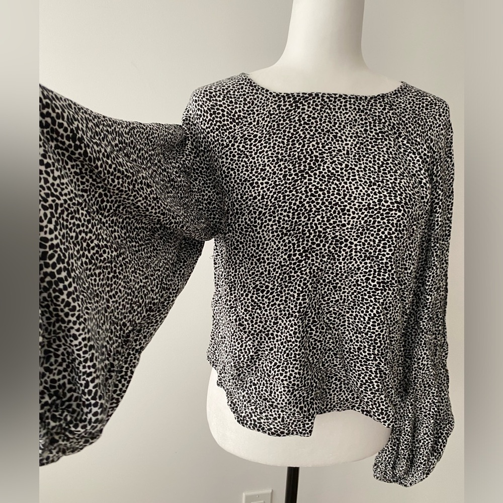 Balloon Sleeve Top